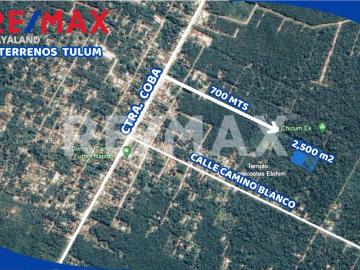 Oportunidad REMATE 2500 m2 a 700 mts de la Ctra Coba Tulum