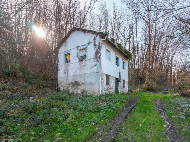Oportunidad real: casa con parcela para rehabilitar en Tineo