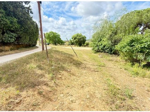 OPORTUNIDAD REAL – 2.000 m2 DE SUELO RÚSTICO CON FUTURO