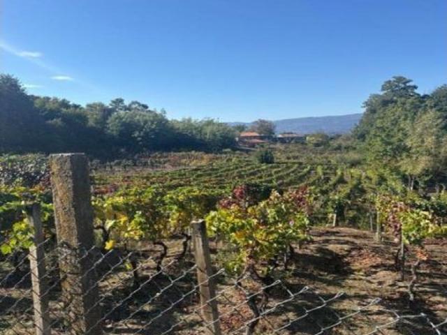 OPORTUNIDAD! SE VENDE CASA RURAL EN CENLLE
