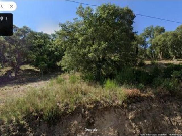 OPORTUNIDAD! SE VENDE SOLAR EN EL PIÑEIRAL