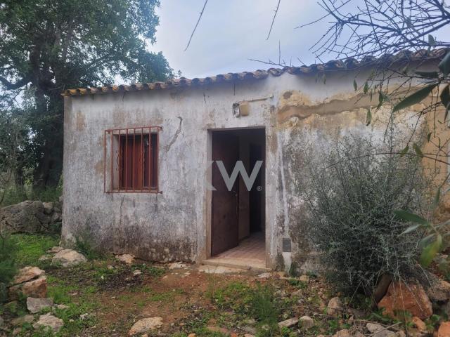 Oportunidade: Casa Geminada no Campo para Recuperação