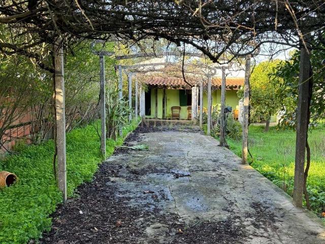 Oportunidade de Investimento | Moradia para Remodelar com Terreno de 2.400 m² | Alhos Vedros