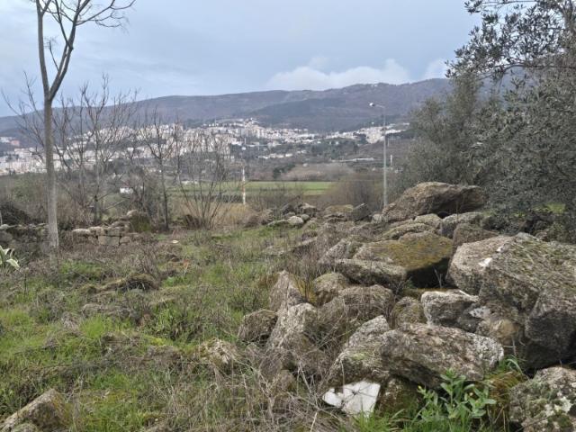 Oportunidade de investimento na Zona Industrial da Covilhã