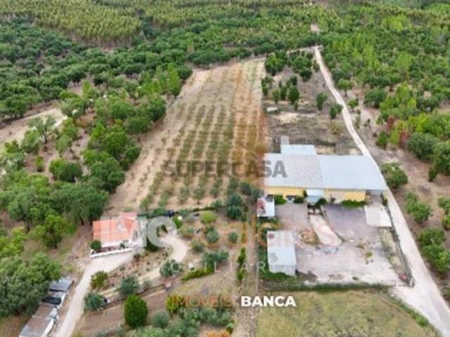 Oportunidade de investimento no Ribatejo armazém com excelente preço e grande potencial!