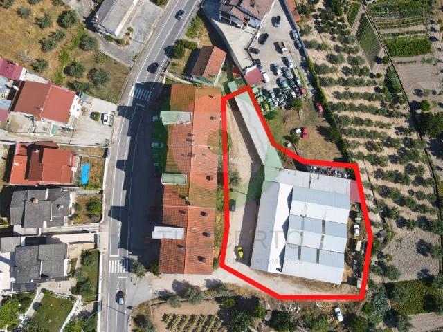 Oportunidade de Investimento – Conjunto de 5 Armazéns