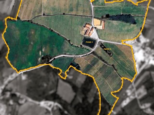 Oportunidade de Investimento Quinta Histórica com Potencial Turístico e Agrícola – Região Centro Oeste Distrito de Leiria