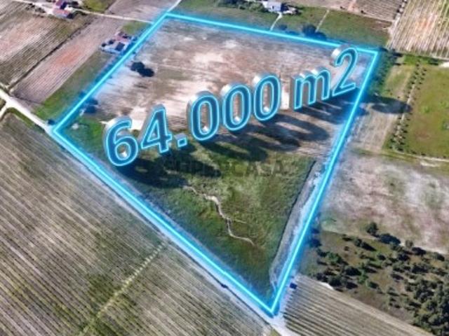 Oportunidade de Investimento Terreno no Poceirão com 6 hectares