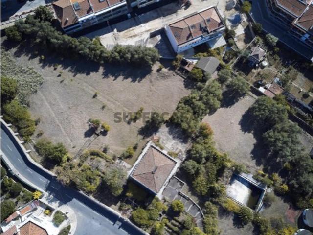 Oportunidade de Investimento