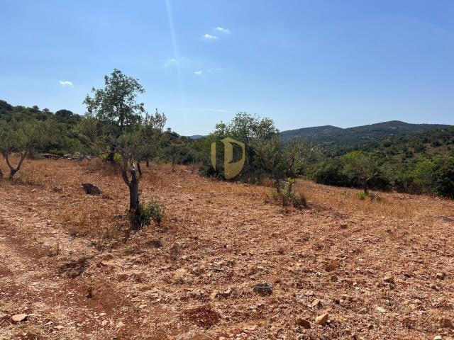 Oportunidade de Ouro em São Brás de Alportel: Terreno de 6,1 Hectares para Construção de Hotel de Turismo Rural
