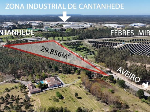 Oportunidade em Cantanhede: 3 Hectares de Potencial Ilimitado!