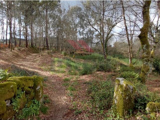 Oportunidade em Arcos de Valdevez: Dois Terrenos Adjacentes com area total de 7355 metros quadrados