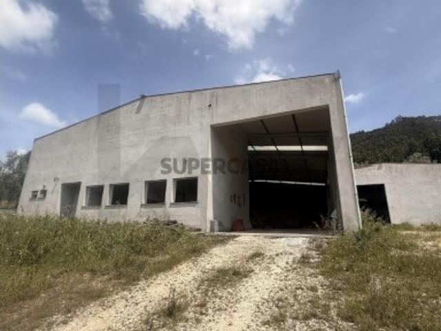Oportunidade em Penacova: Pavilhão Industrial e Administrativo com Terreno