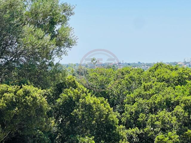 Oportunidade Excecional de Investimento no Triângulo Dourado – Cerca de 7 Hectares de Terreno
