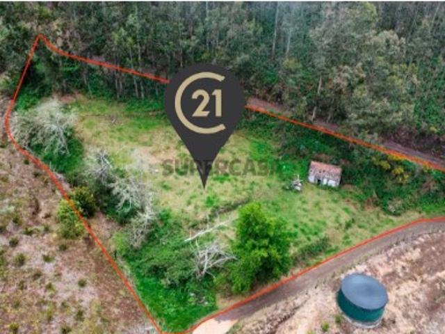 Oportunidade Exclusiva na Madeira Terreno com 3.796 m² nos Canhas, Ponta do Sol
