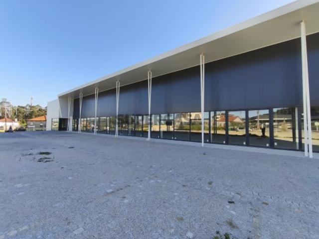 Oportunidade Logística de Excelência | Pavilhão Industrial de 2.600 m²