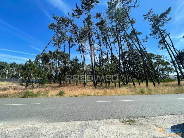 Oportunidade na Gafanha da Encarnação: Terreno com 20m2 de Frente de Estrada | 26064092048