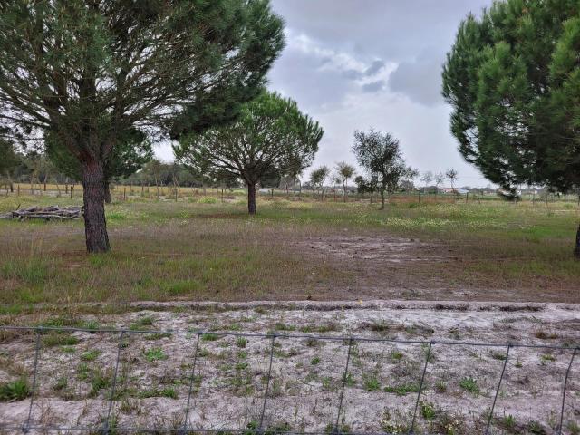Oportunidade Prime de Investimento: Terreno Rústico e Prédio. 554m² Grândola e Santa Margarida da Serra