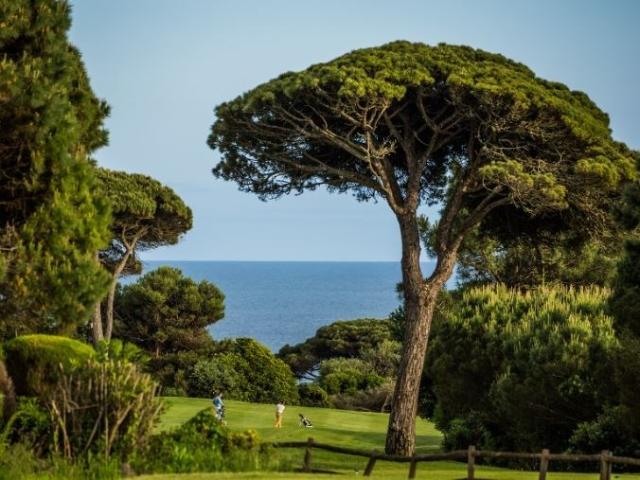 Moradia Com Piscina Quinta da Marinha