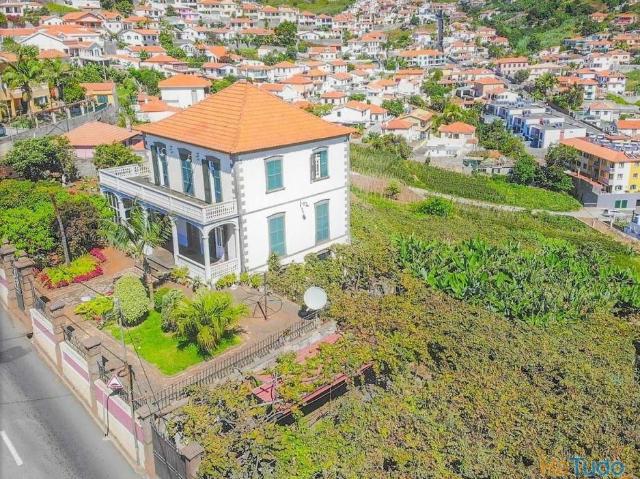 Oportunidade ? Quinta T4 + Terreno com Vinha e Bananeiras plantada | 20102723336