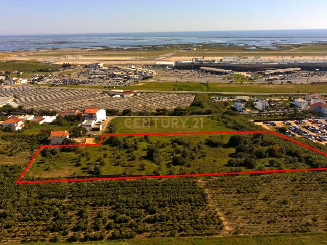Oportunidade Terreno para loteamento em Montenegro Faro 8m² Montenegro