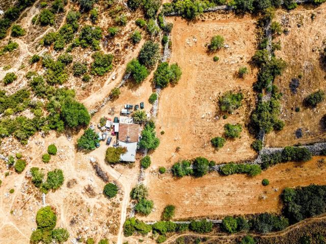 Oportunidade Única: 2 Terrenos Rústicos Próximos de São Brás de Alportel