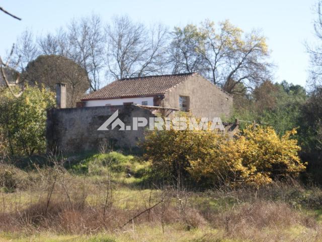 Oportunidade Única às Portas de Castelo Branco!