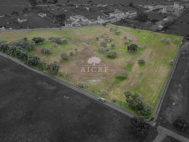 Oportunidade Única de Investimento no Alentejo, Viana do Alentejo
