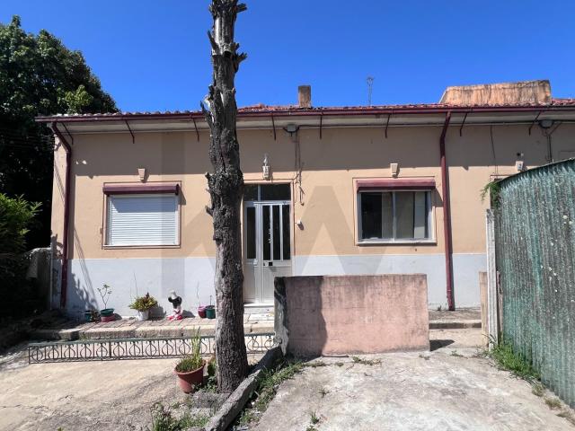 Oportunidade Única: Ilha com 5 Moradias em Campanhã, Porto
