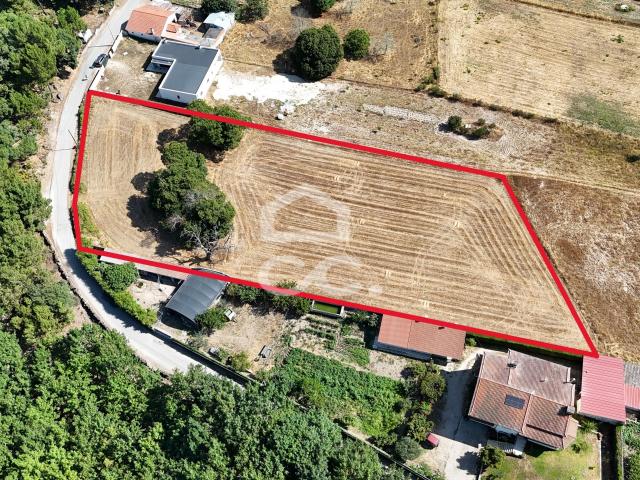 Oportunidade Única! Terreno Rustico em Casas Novas para Investimento