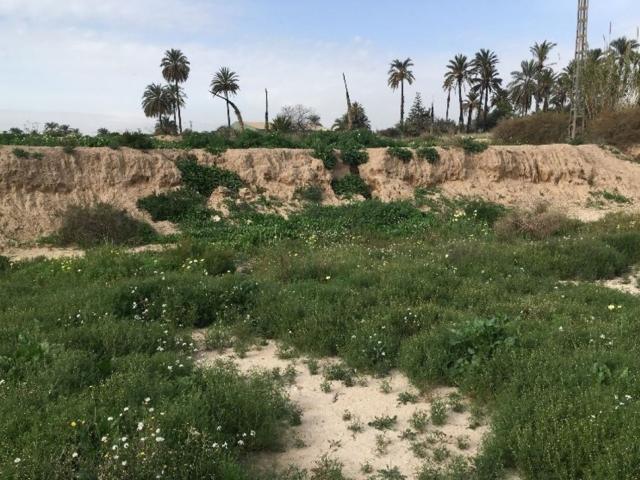 OPORTUNIDAD||Venta de Suelo Urbano Industrial en Partida De Algorós Elche/Elx Alicante/Alacant