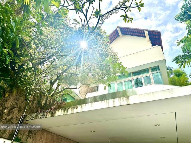 Opera Estate D15, Detached