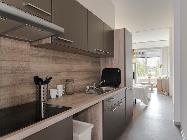 Opheusdenhof, Amsterdam Amsterdam Apartments for Rent