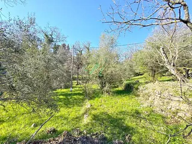 Opio 06650 Achat / Vente terrain