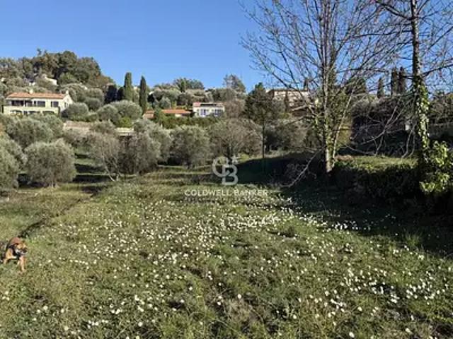 Opio 06650 Achat / Vente terrain