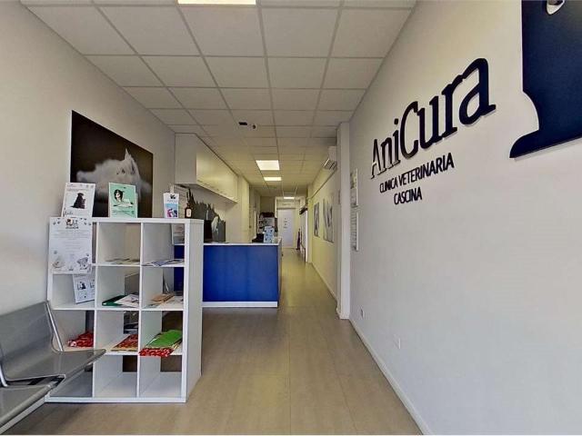 Opportunit&Aacute Immobiliare 412m² Calcinaia