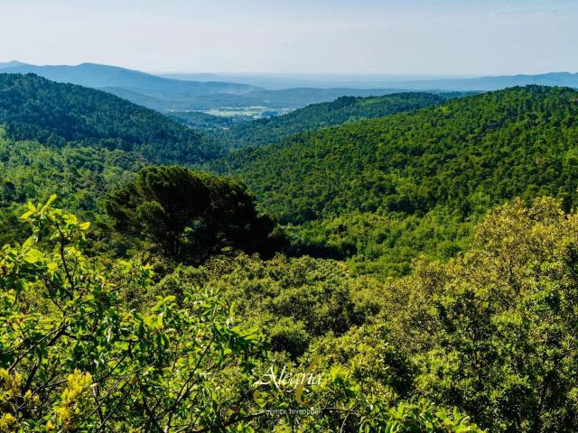 Opportunité d’investissement confidentielle: Domaine vitico. m² Draguignan