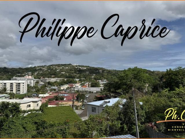 Opportunité d'Investissement à Trinite 972 569m² La Trinité