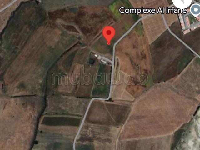 Opportunité d'investissement: Terrain agricole à vendre