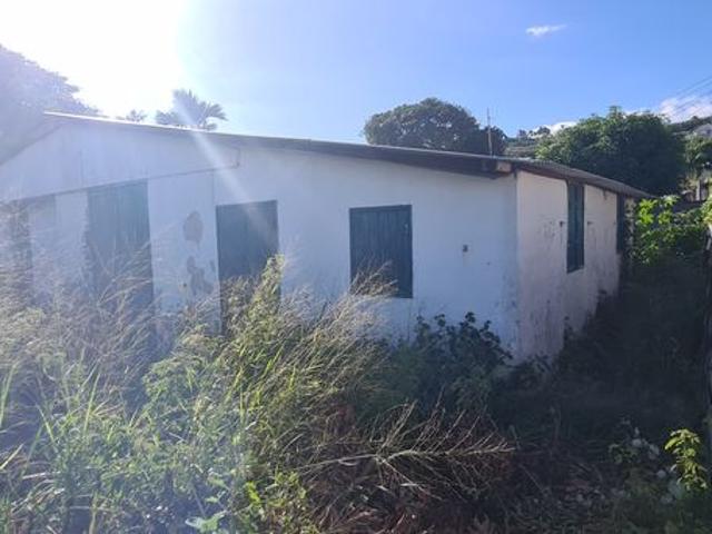 OPPORTUNITE Exclusif Grand Bois Maison dur et bois sous tôle 108m² h sur 316 m² de terrain