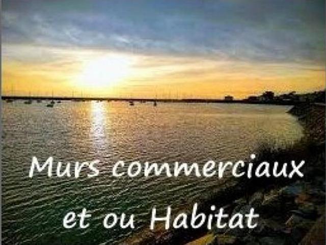 Opportunité: local commercial à usage mixte ou habitation
