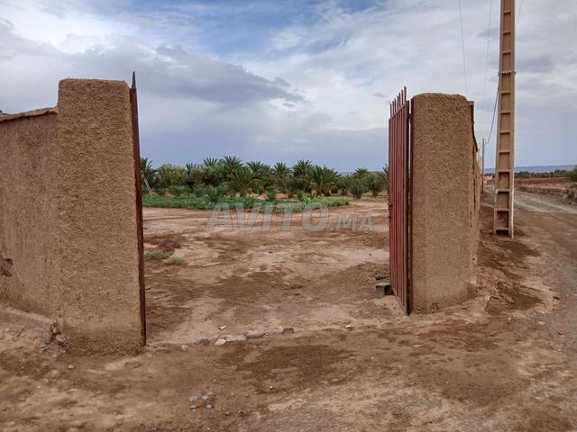 Opportunité Rare à Tilougui