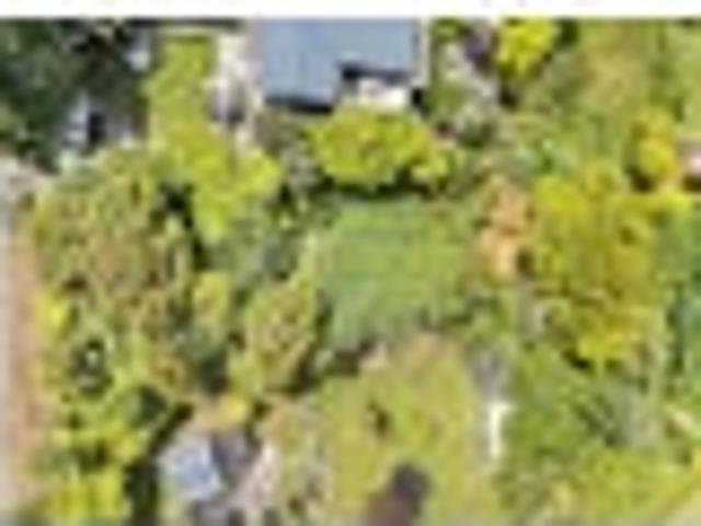 Opportunity Awaits: Build amongst the Bush