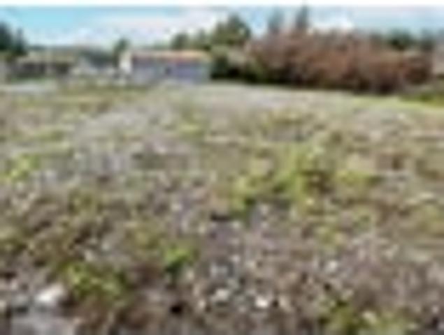 Opportunity in Kaniere