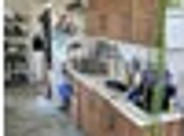 Opportunity in Otorohanga families or investors