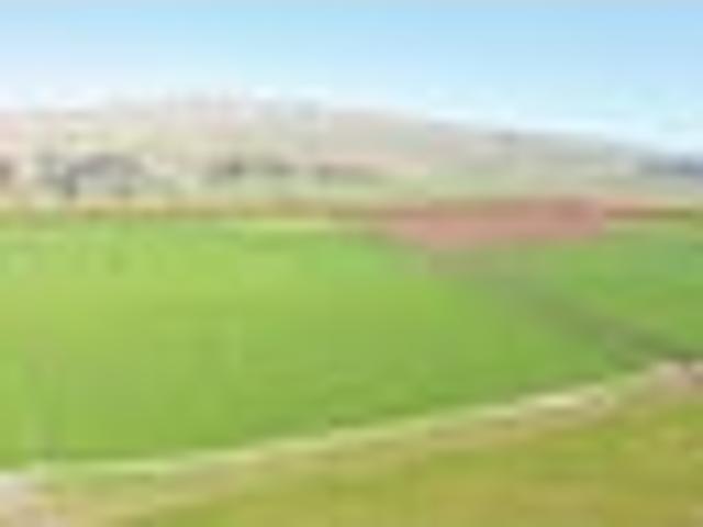 Options to buy 13ha or two 15ha titles