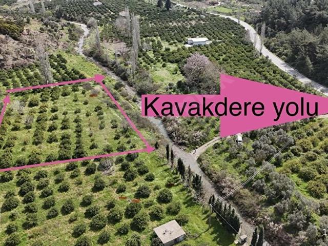 ORMAN la iç içe YEŞİLLİK VE OKSİJEN DOLU HUZURUN ADRESİ ARSA mız