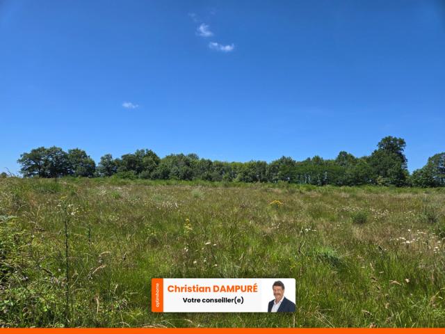 Oradour sur Vayres Vente Terrain 87