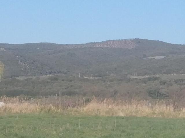 Oraison Vente Terrain 04