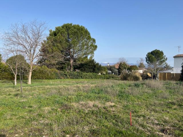 Oraison Vente Terrain 04